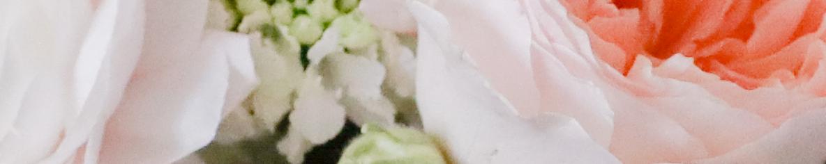 Tampa Bay wedding