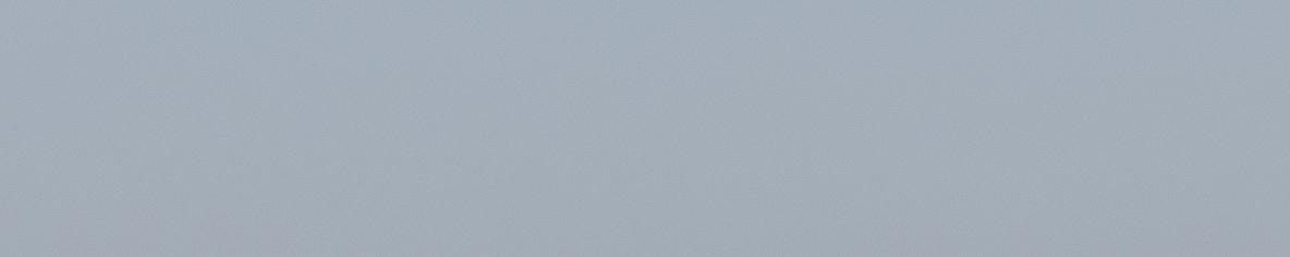 Carmel-By-The-Sea Engagement + Surprise Proposal