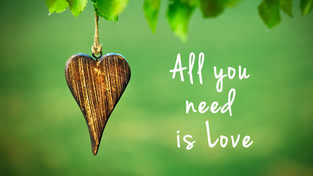 a wooden heart-dangles from a branch and sits next to words “all you need is love”