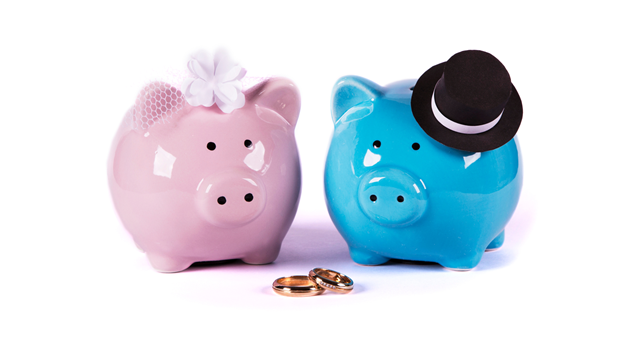 bride and groom piggy banks, which are pink and blue respectively, stand against a white background as coins are displayed in front