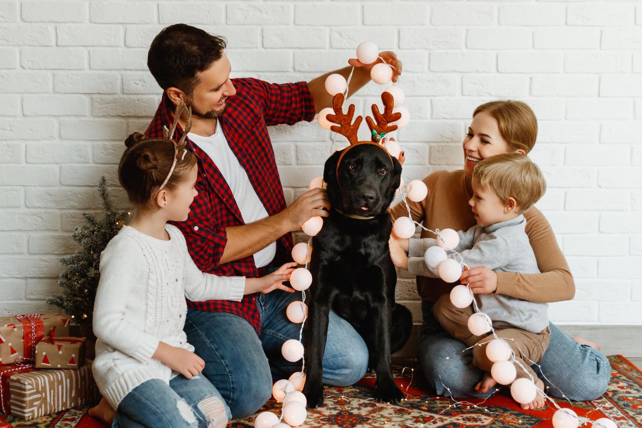 Christmas Card Picture of family and dog with lights