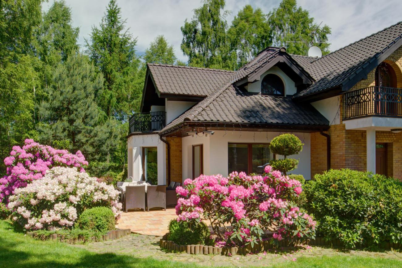 Curb Appeal Landscaping