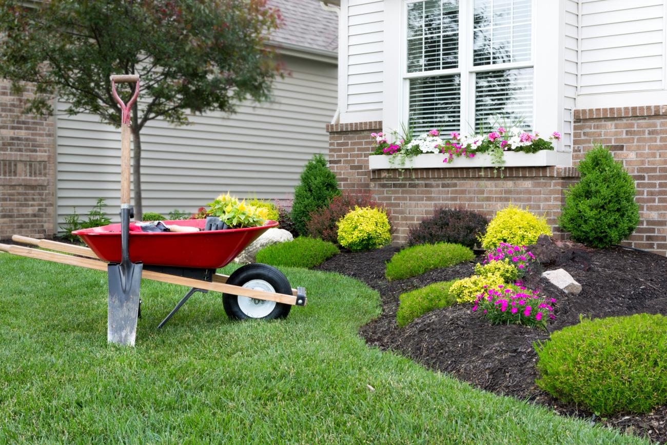 Curb Appeal with landscaping and pretty flowers