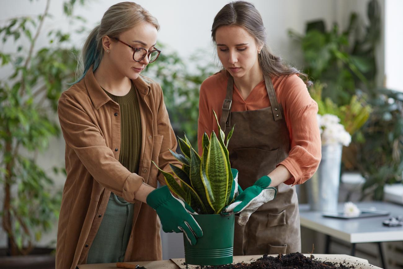 June Marketing - Home Improvement Workshops