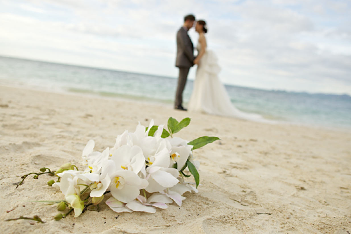 19 Beach Wedding Program Styles for Your Wedding