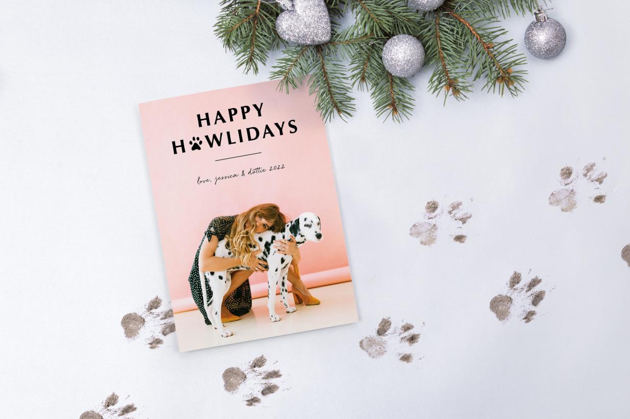 Christmas Card ideas featuring your dog