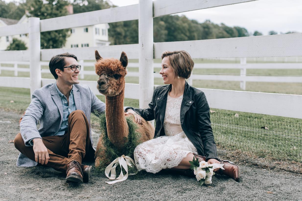 Joyful Autumn Alpaca Engagement Shoot