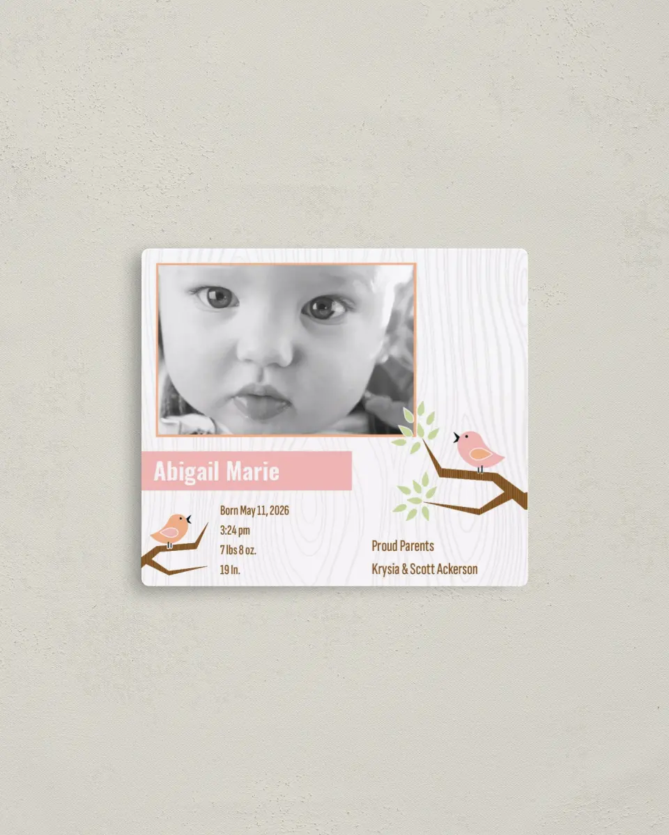 This is a 3½" x 4" Birth Announcement Magnet called Sweet Song Birds printed in full color with a Luxe Satin finish