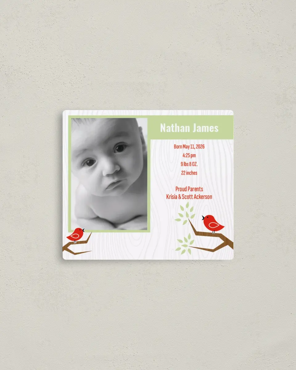 This is a 3½" x 4" Birth Announcement Magnet called Sweet Song Birds printed in full color with a Luxe Satin finish