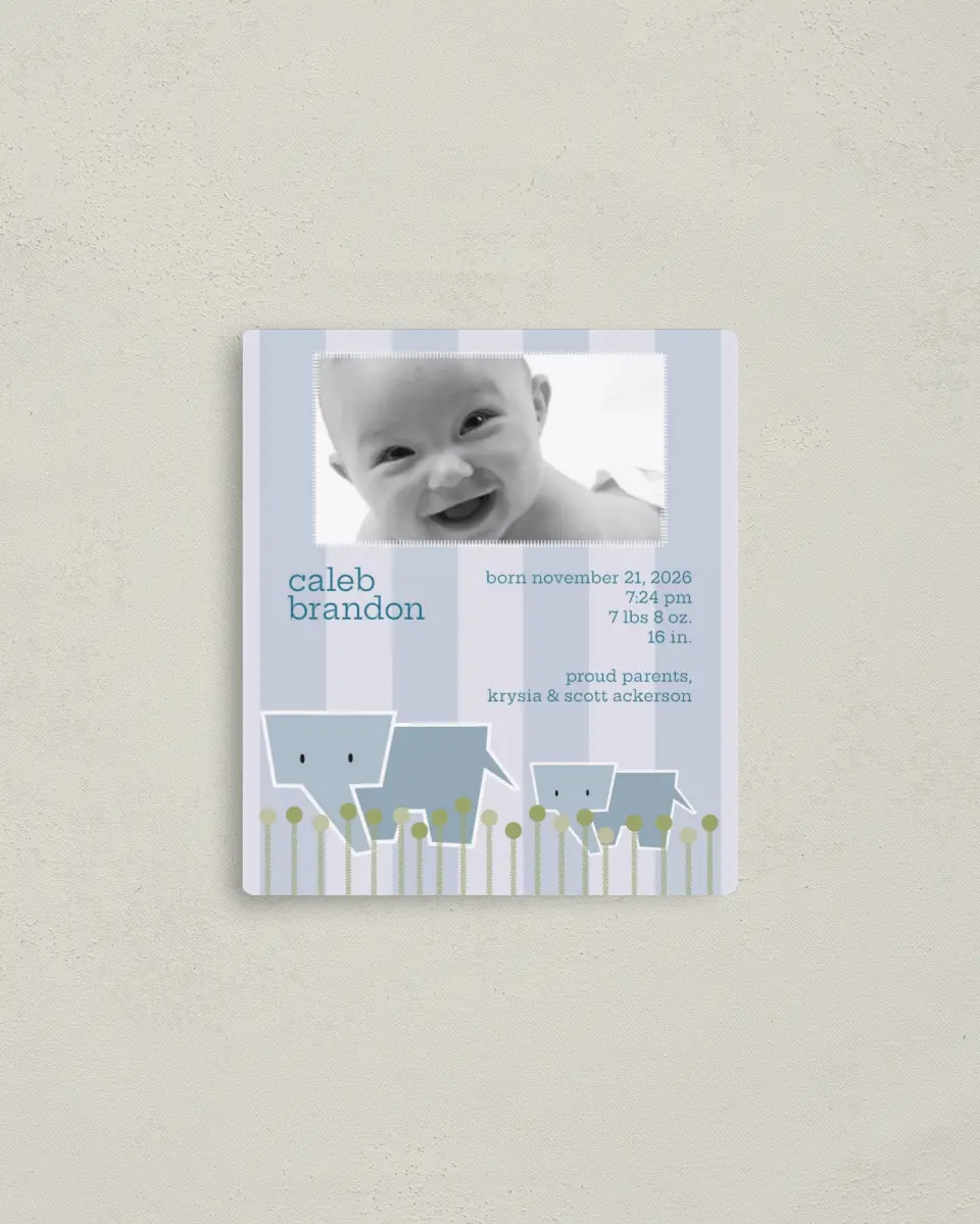 This is a 3½" x 4" Birth Announcement Magnet called Elephant printed in full color with a Luxe Satin finish