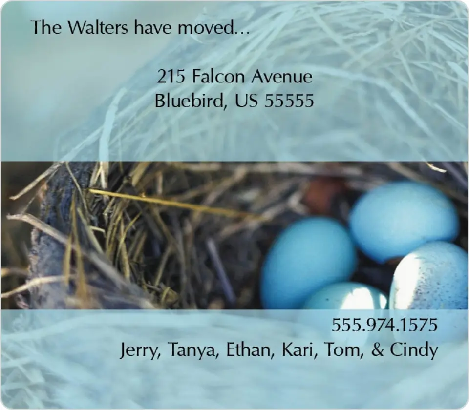 This is a 3½" x 4" Moving Announcement Magnet called Our New Nest printed in full color with a Luxe Satin finish