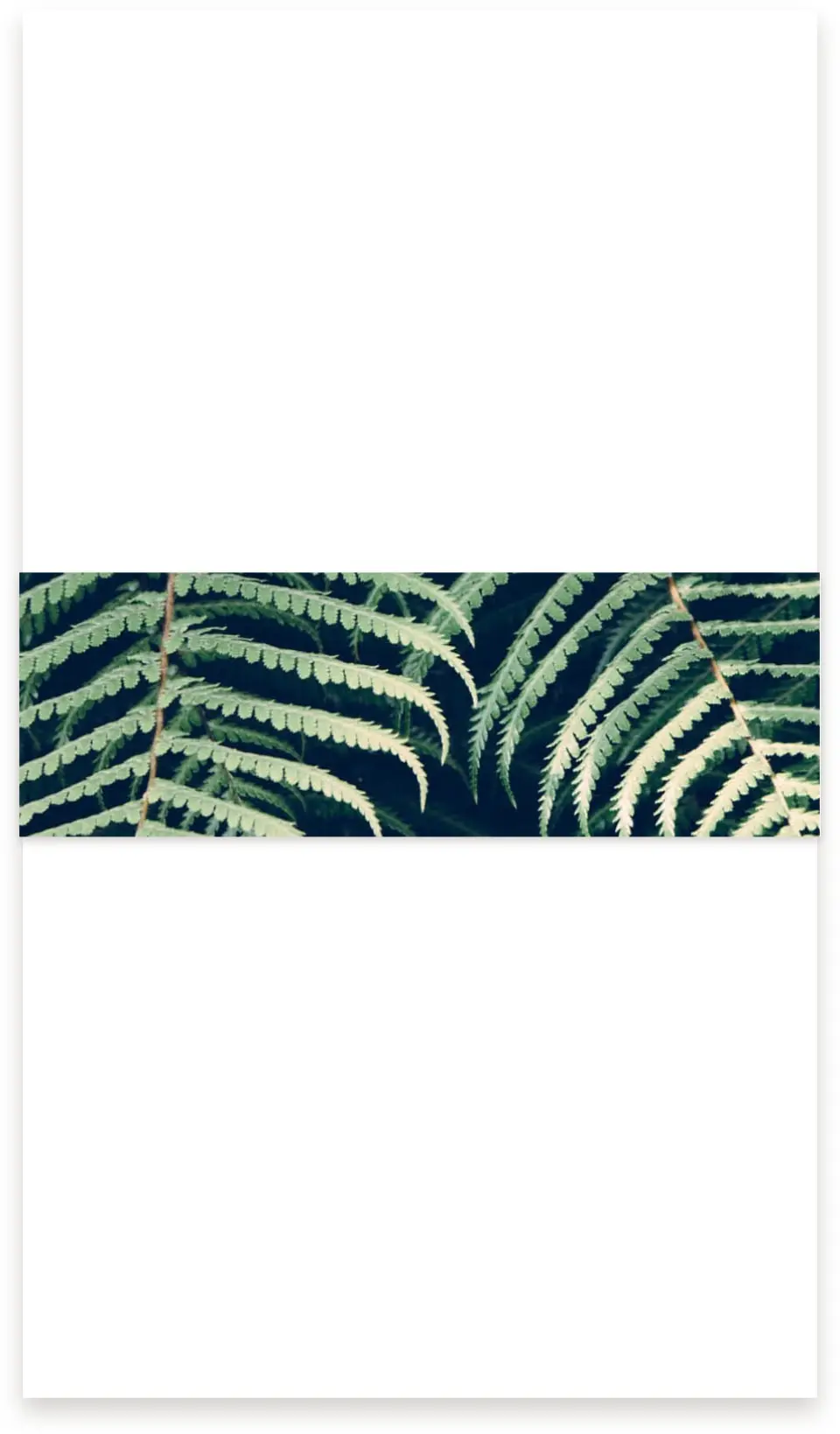 This is a 1½" x 12" Vellum Band called Enchanted Day printed in full color