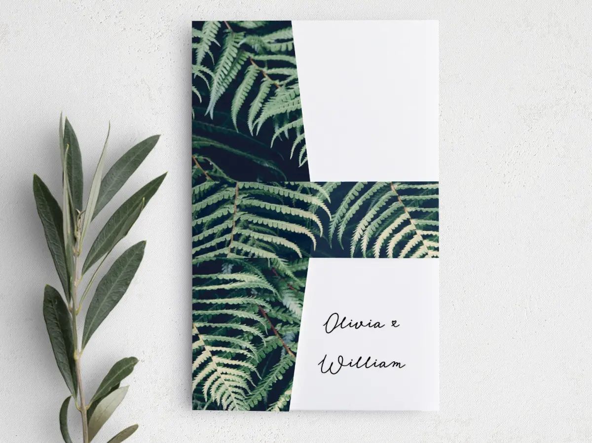 Vellum Band