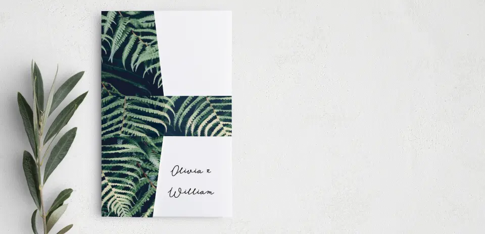Vellum Band