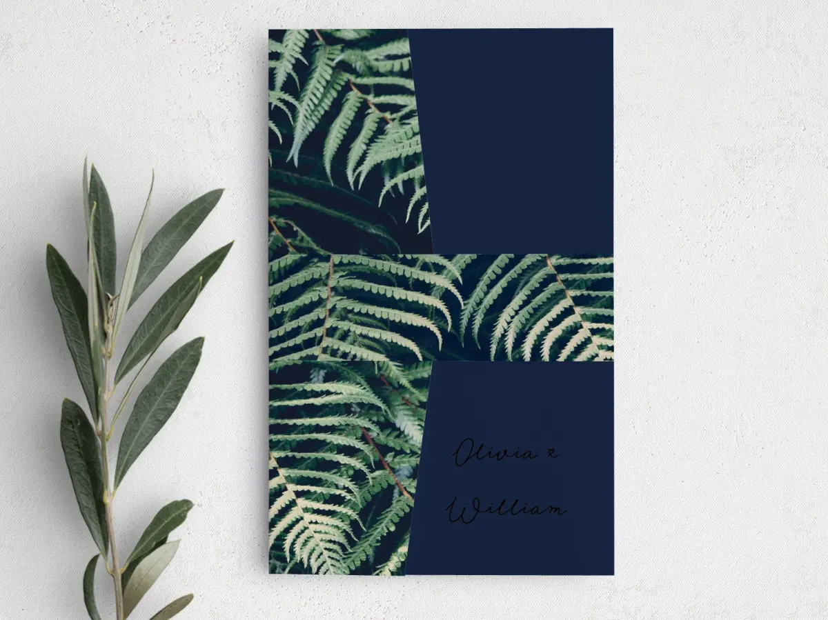 Vellum Band