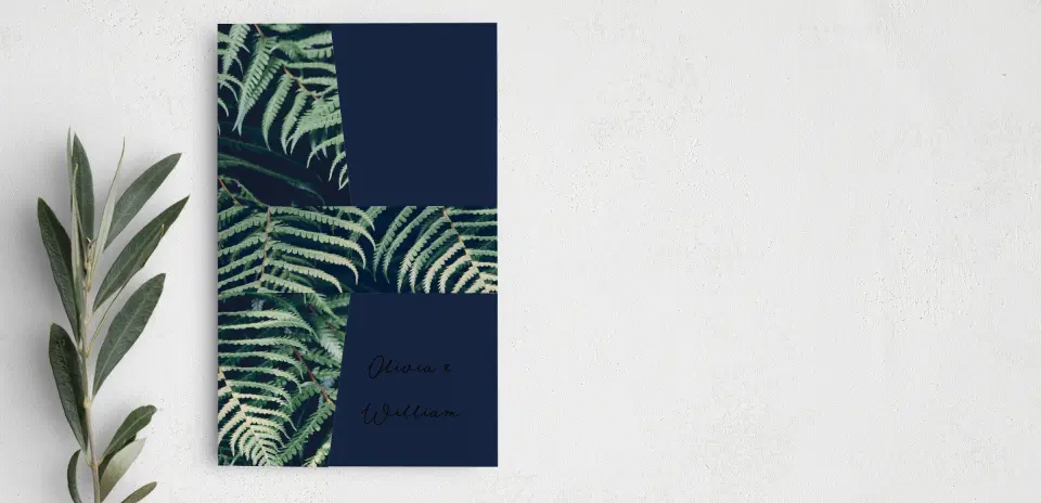 Vellum Band