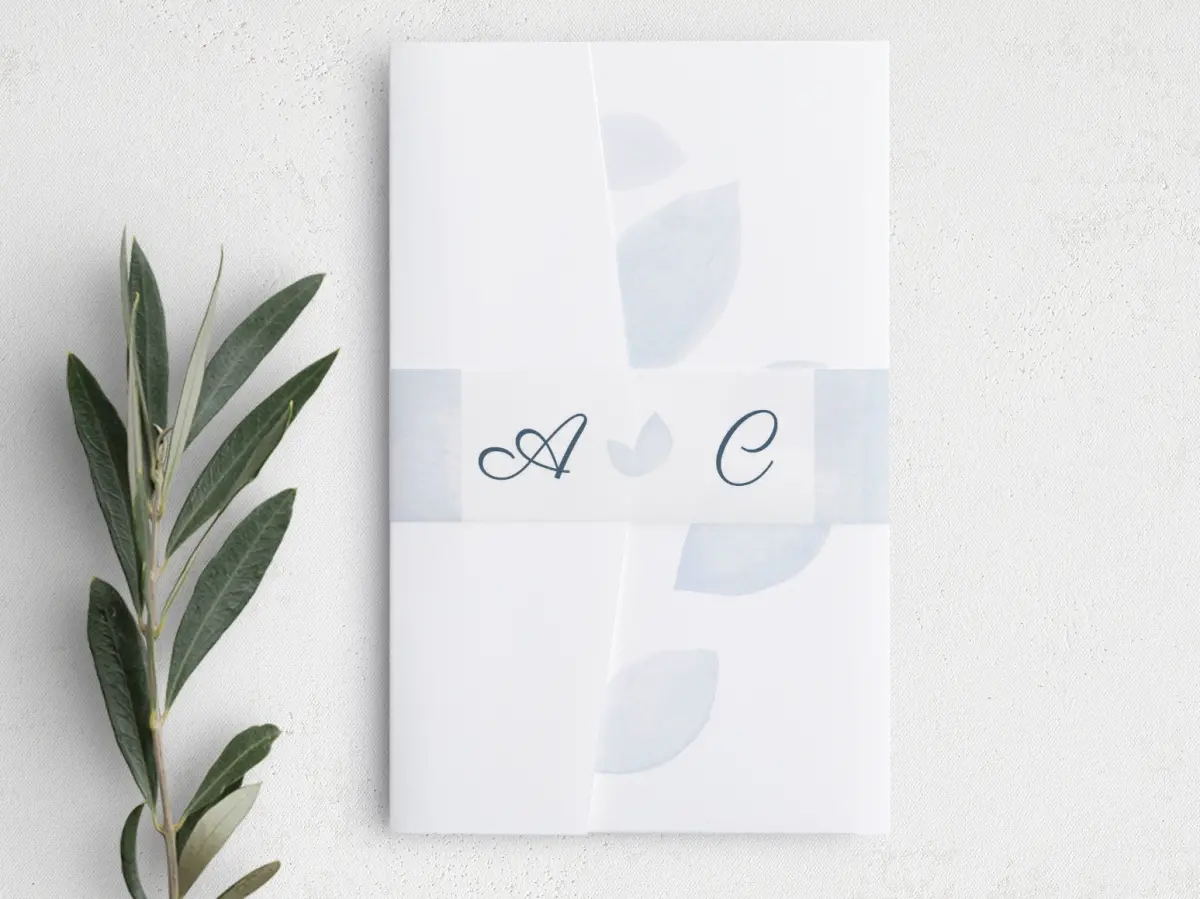 Vellum Band