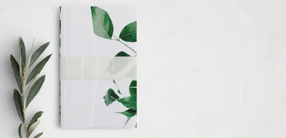 Vellum Band