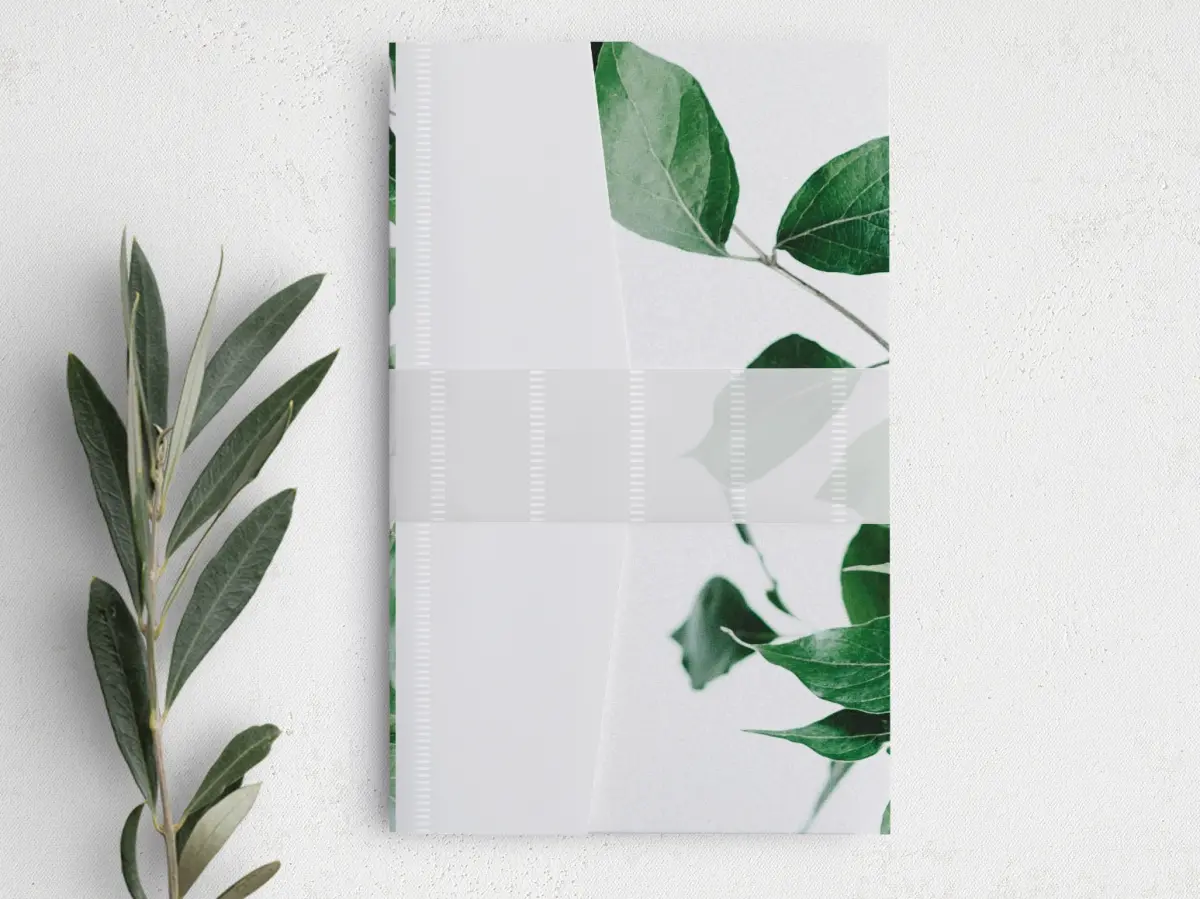 Vellum Band
