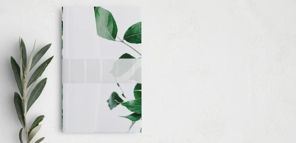 Vellum Band