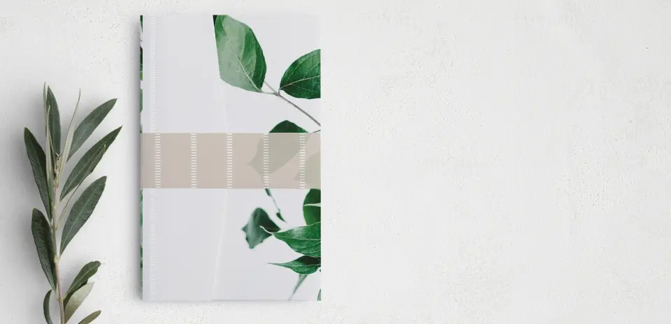 Vellum Band