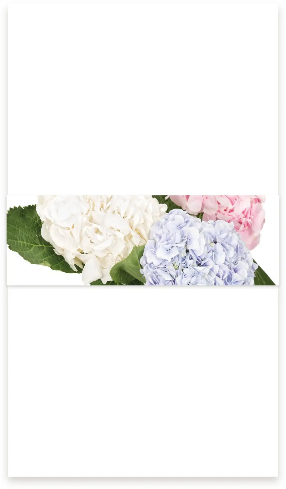 This is a 1½" x 12" Vellum Band called Antique Hydrangea printed in full color