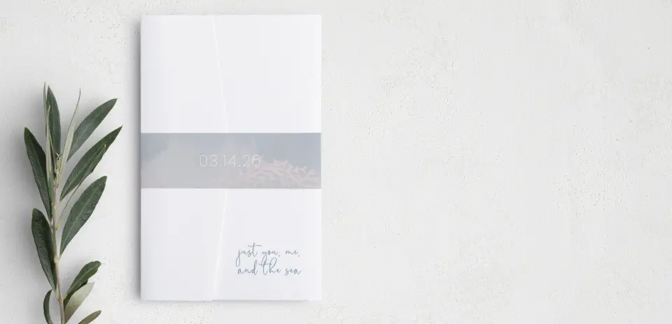 Vellum Band