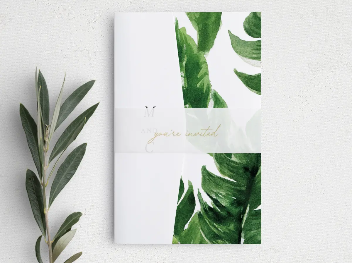 Vellum Band