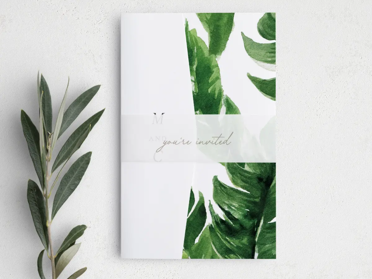 Vellum Band