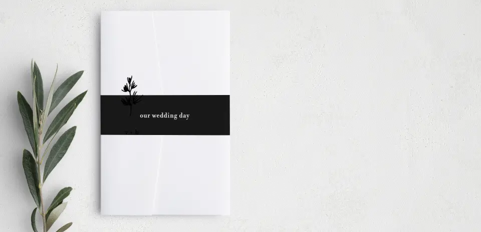 Vellum Band