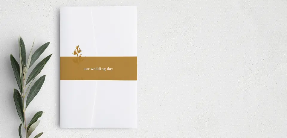 Vellum Band