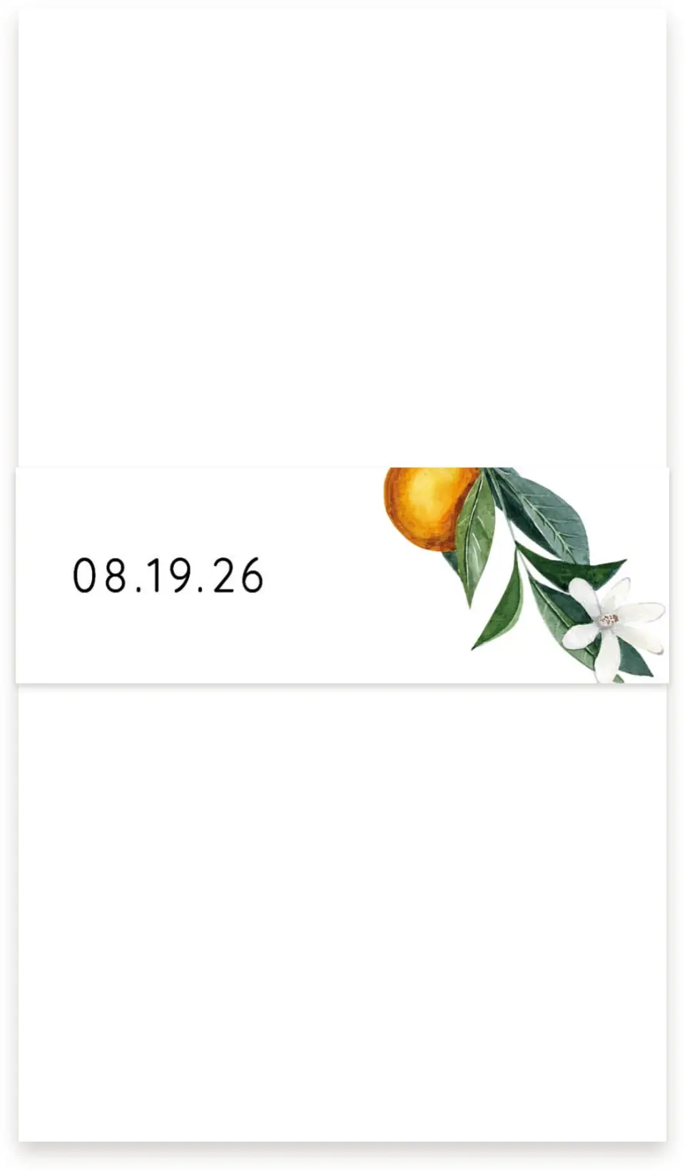 This is a 1½" x 12" Vellum Band called Mod Citrus printed in full color