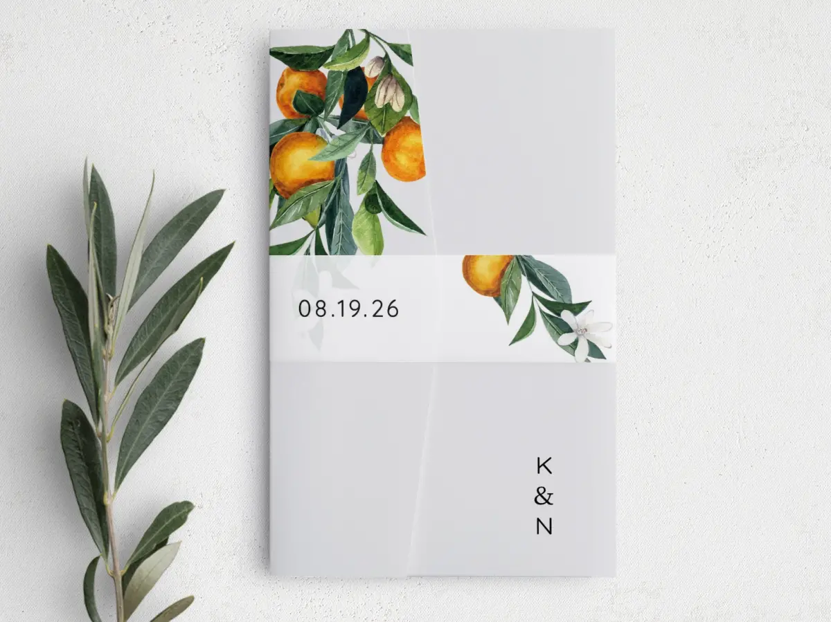 Vellum Band
