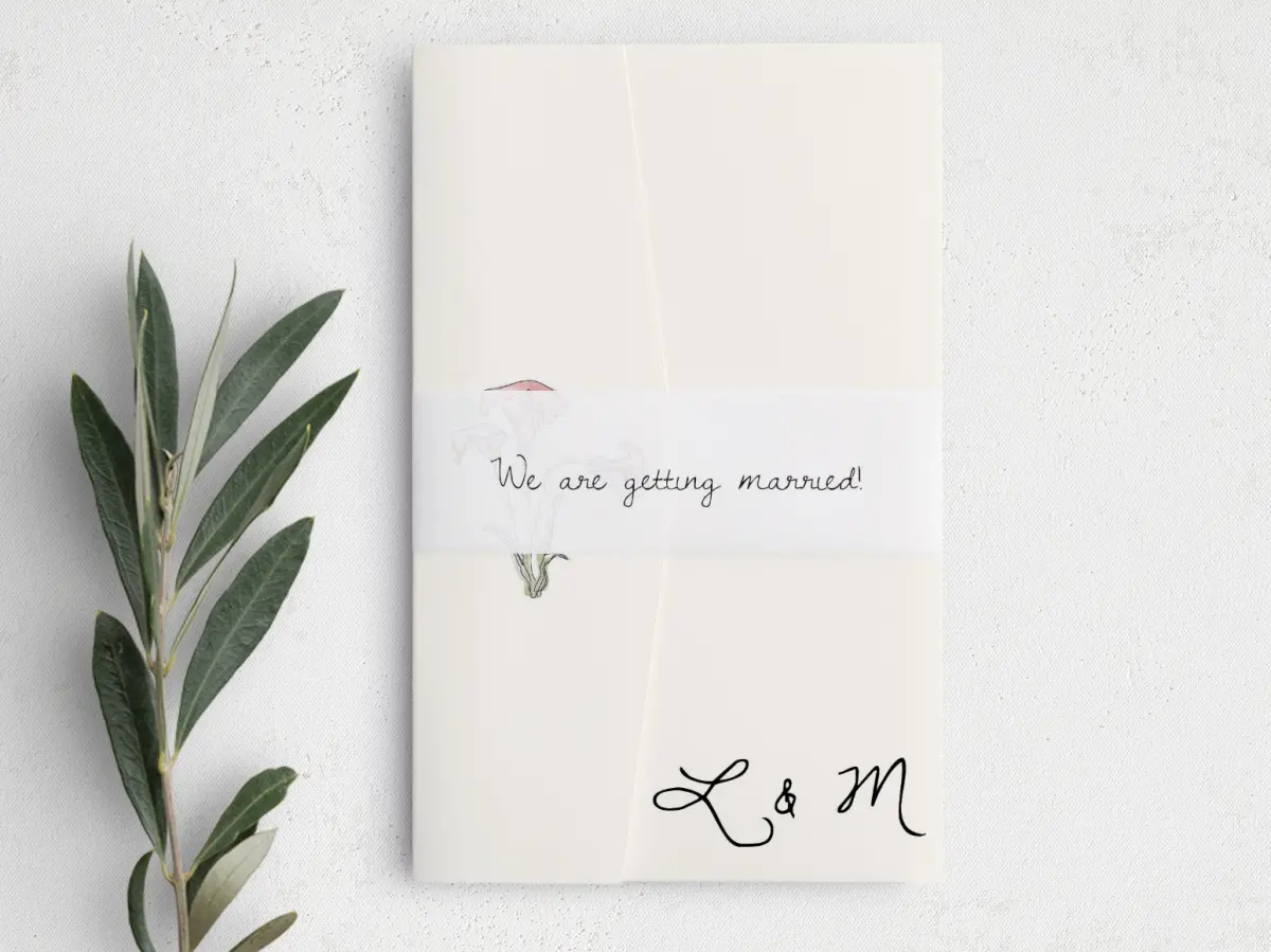 Vellum Band