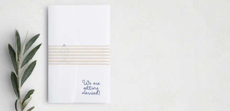 Vellum Band