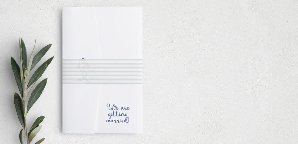 Vellum Band