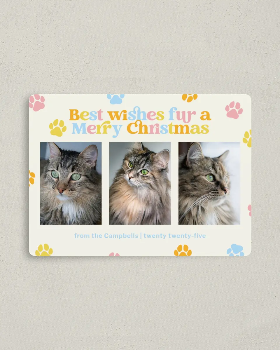 This is a 4" x 5½" Christmas Card called Paws and Peace printed in full color with Silver foil and a Luxe Satin finish