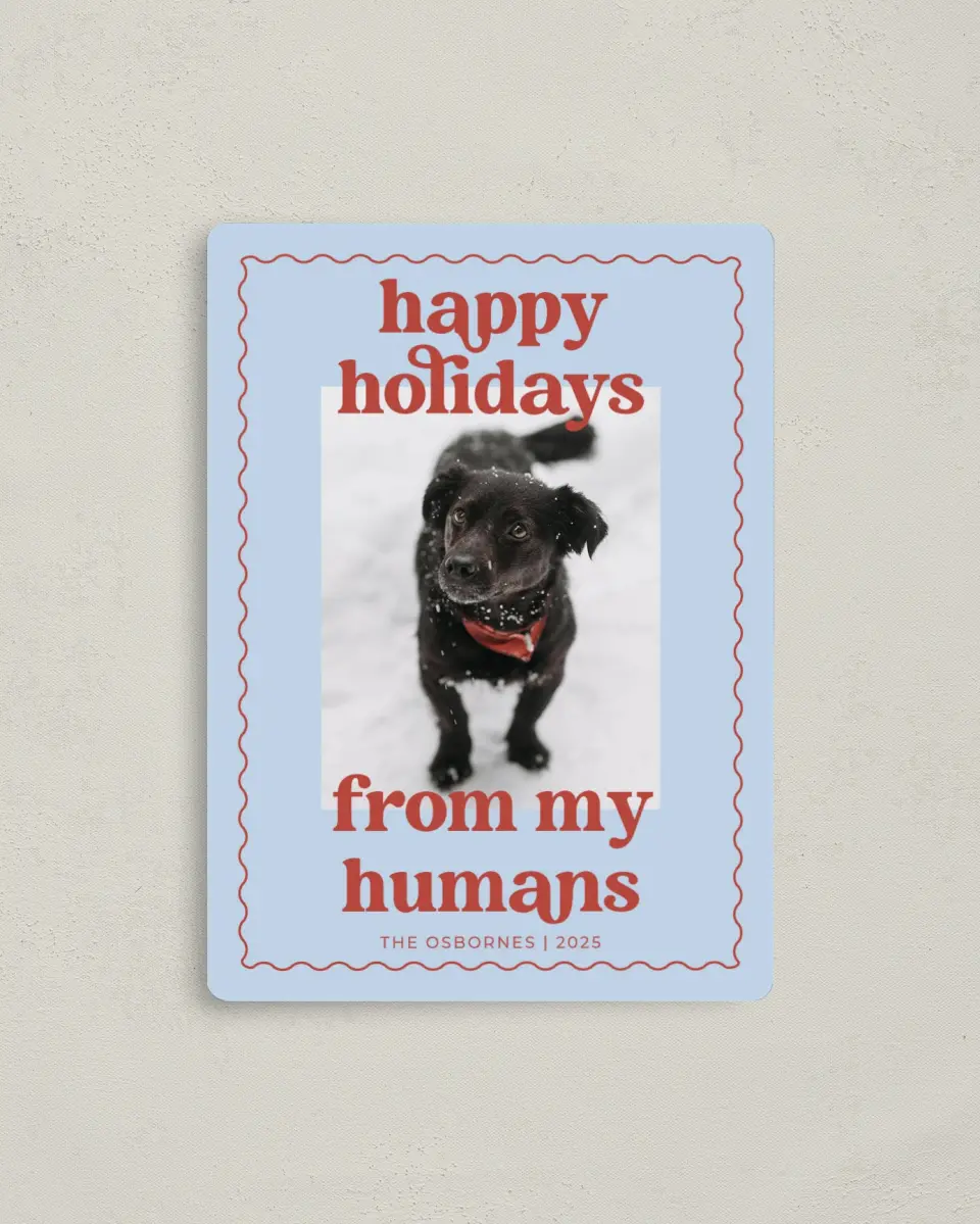 This is a 4" x 5½" Christmas Card called Playful Pet printed in full color with a Luxe Satin finish