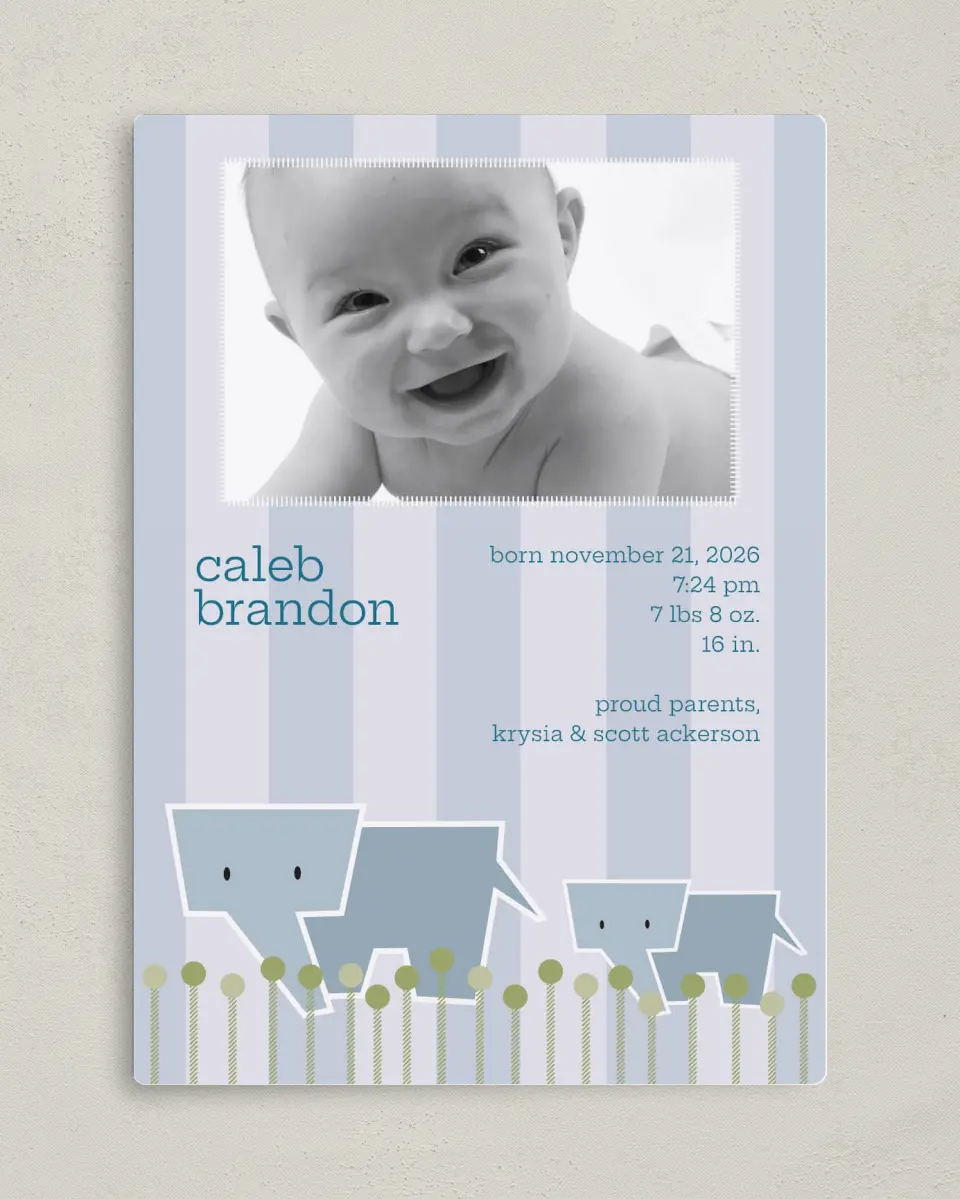 This is a 5" x 7" Birth Announcement Magnet called Elephant printed in full color with a Luxe Satin finish