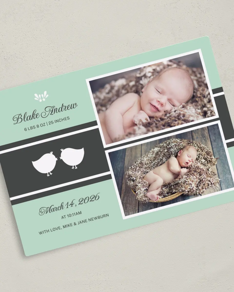 This is a 5" x 7" Birth Announcement Magnet called Pretty Birds printed in full color with a Luxe Satin finish