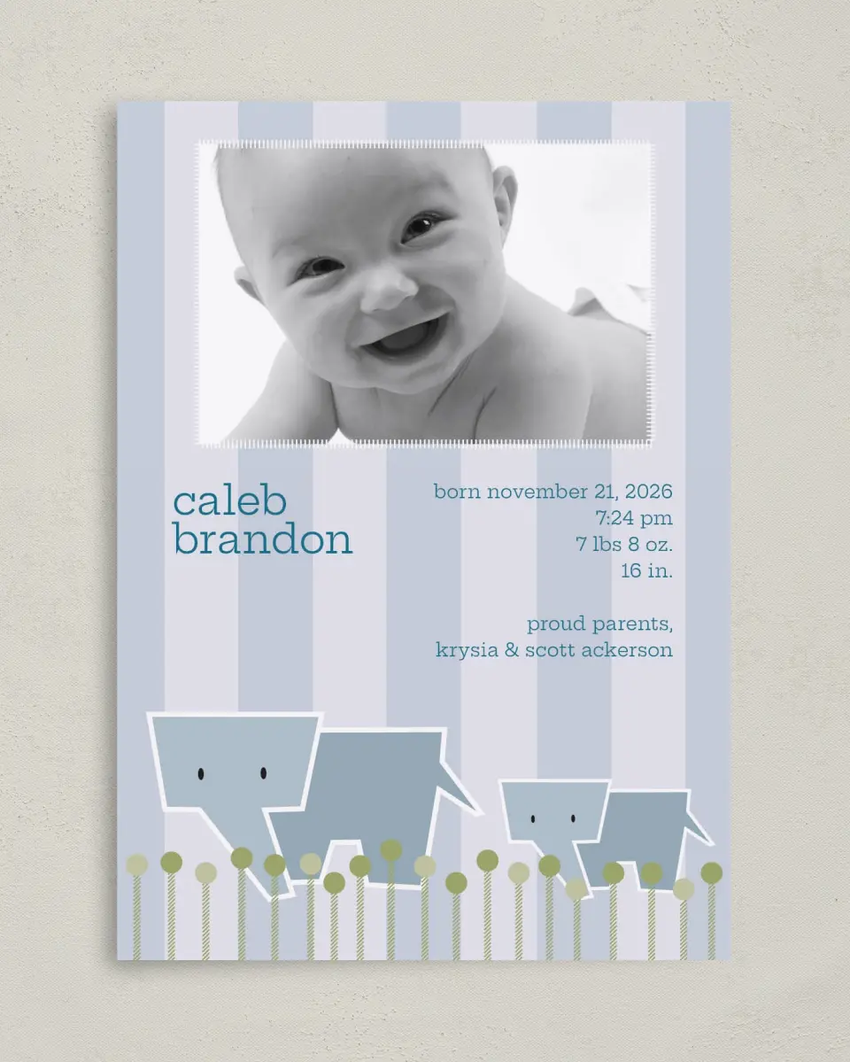 This is a 5" x 7" Birth Announcement Card called Elephant printed in full color on Premium Smooth paper