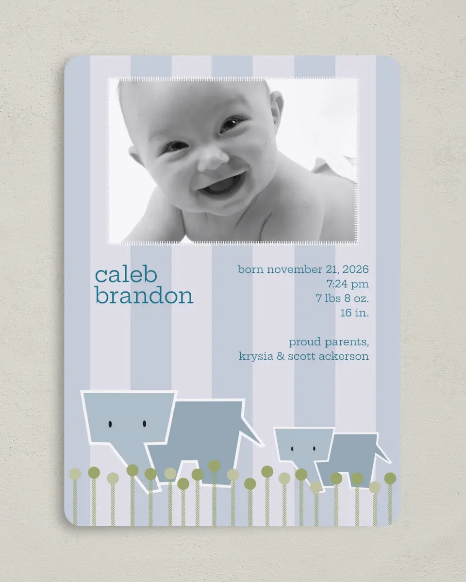 This is a 5" x 7" Birth Announcement Card called Elephant printed in full color on Premium Smooth paper