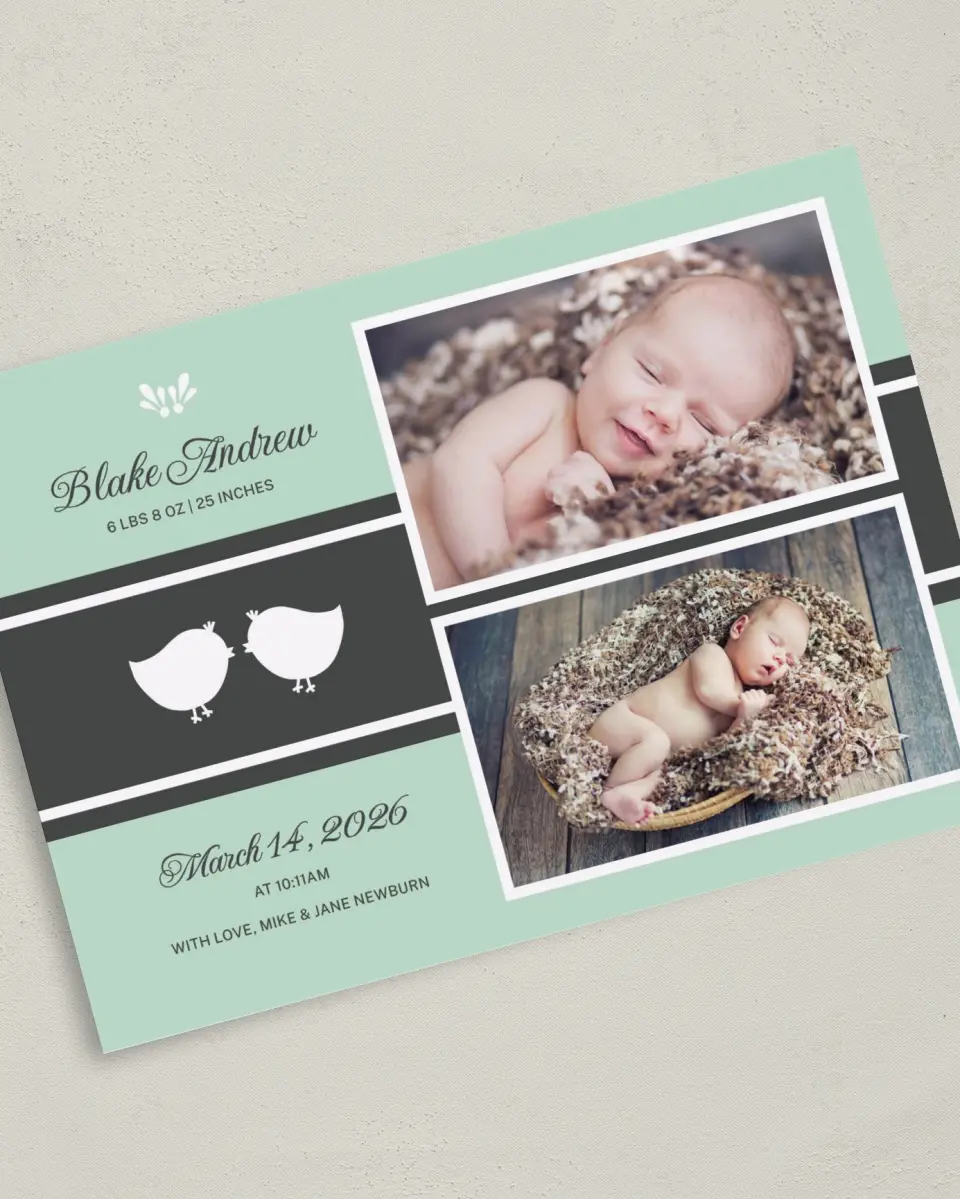 This is a 5" x 7" Birth Announcement Card called Pretty Birds printed in full color with Silver foil on Luxe Satin (coated) paper