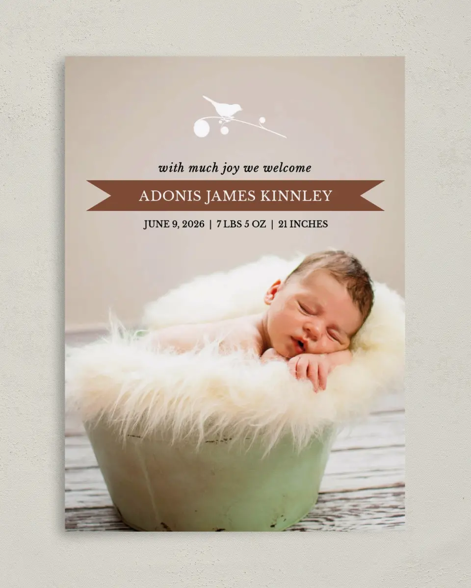 This is a 5" x 7" Birth Announcement Card called Tweetie Pie printed in full color with Silver foil on Luxe Satin (coated) paper