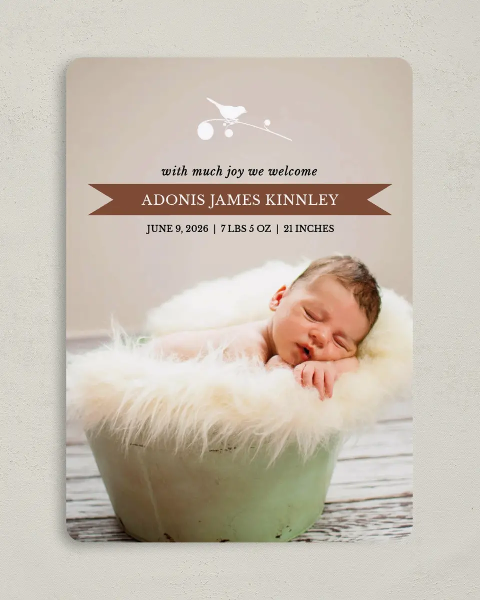 This is a 5" x 7" Birth Announcement Card called Tweetie Pie printed in full color with Silver foil on Luxe Satin (coated) paper