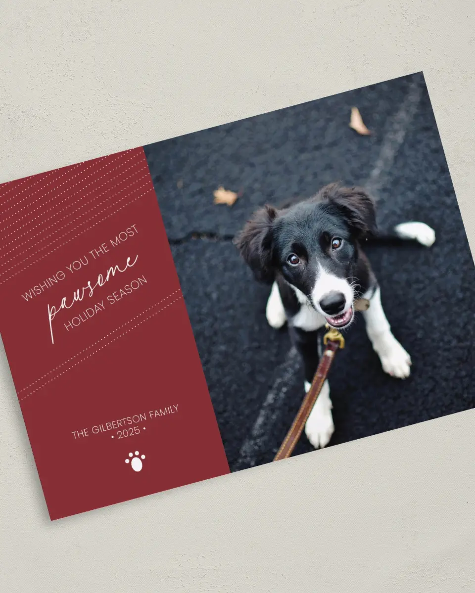 This is a 5" x 7" Christmas Card called Pawsome Holiday printed in full color on Premium Smooth paper