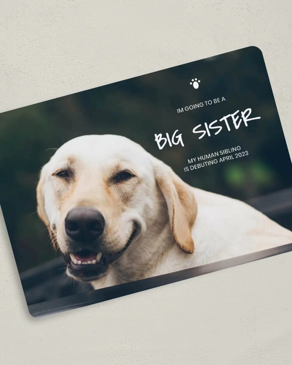 This is a 5" x 7" Birth Announcement Card called Pawsome News printed in full color on Premium Smooth paper