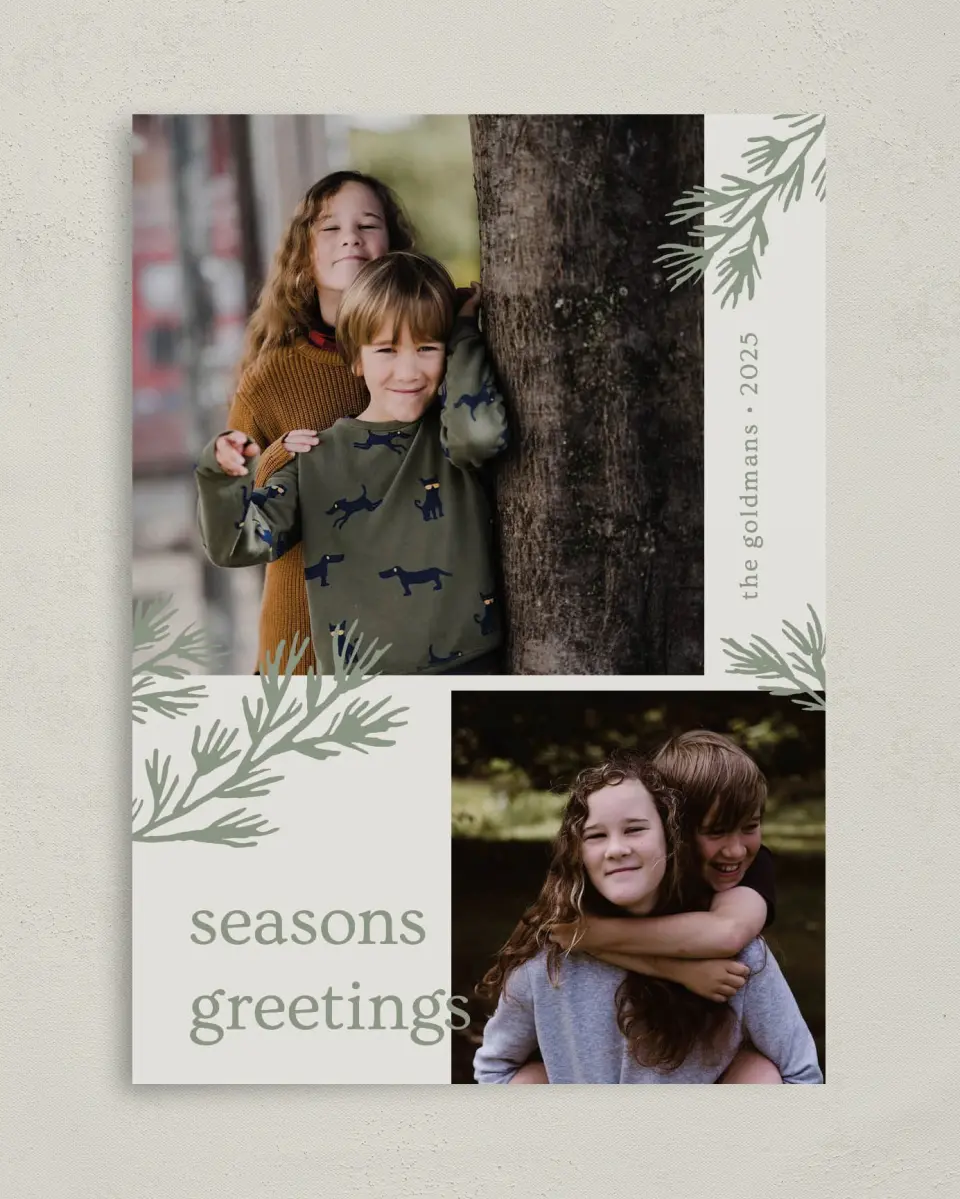 This is a 5" x 7" Christmas Card called Bold Boughs printed in full color on Premium Smooth paper