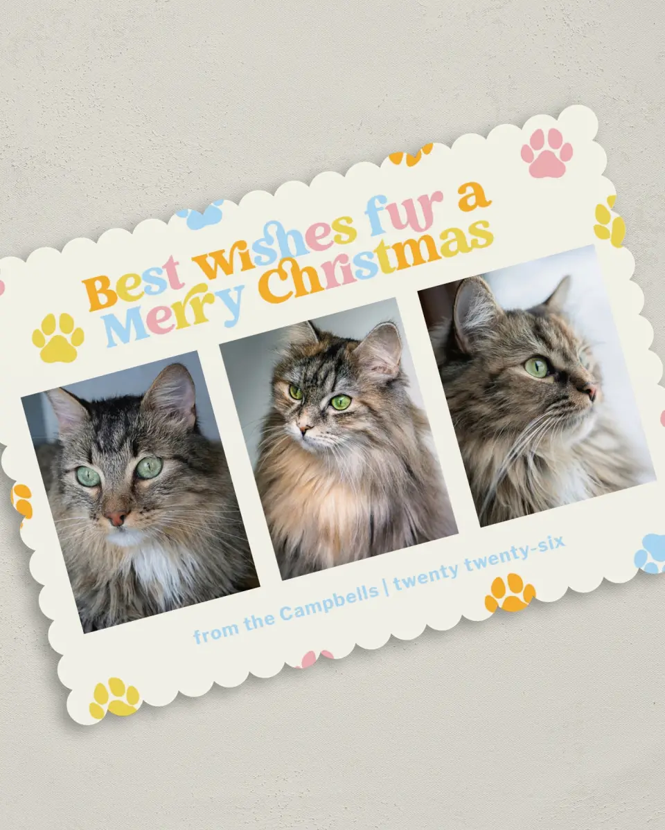 This is a 5" x 7" Christmas Card called Paws and Peace printed in full color on Premium Smooth paper on Premium Smooth paper on Premium Smooth paper