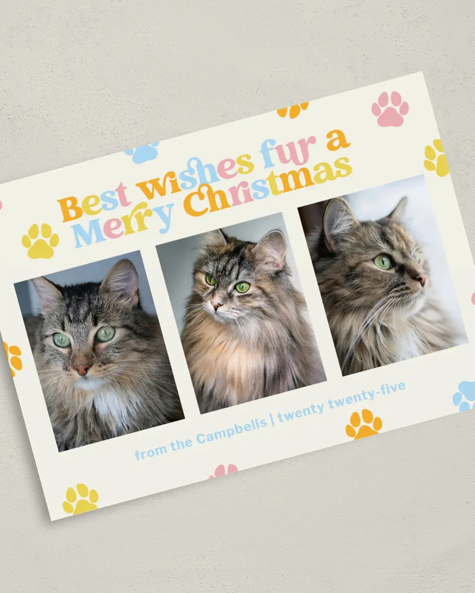 This is a 5" x 7" Christmas Card called Paws and Peace printed in full color on Premium Smooth paper
